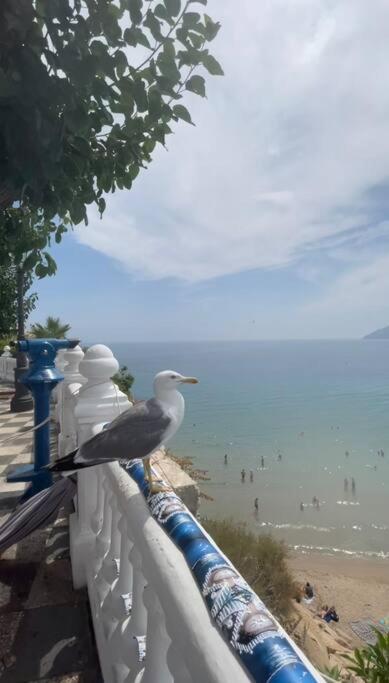 Apartamento Centrico Y En Primera Linea De Playa Apartman Benidorm Kültér fotó
