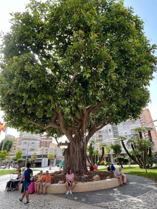 Apartamento Centrico Y En Primera Linea De Playa Apartman Benidorm Kültér fotó